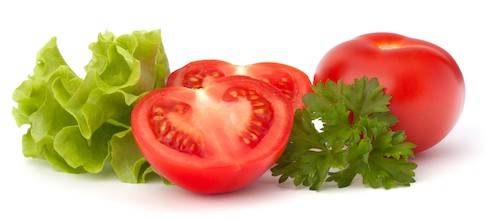 tomato vegetable and lettuce salad tomotoes for guinea pigs