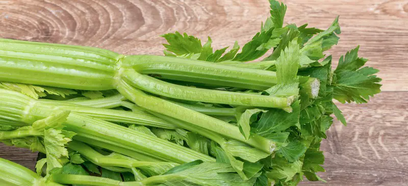 celery on a wooden table